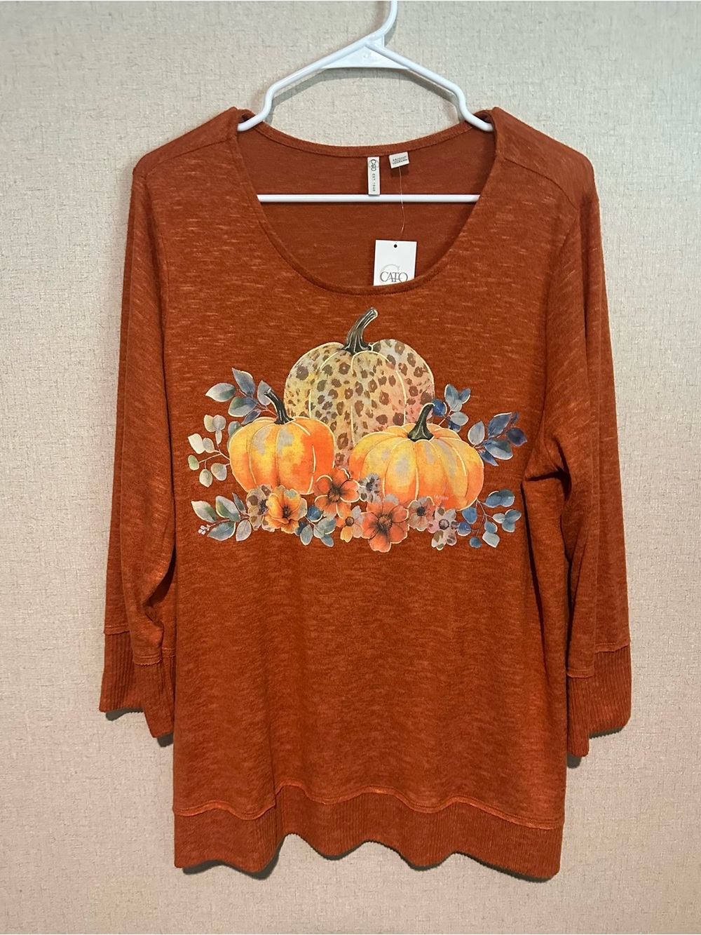 Cato Women’s 14/16W Rust Orange Leopard Pumpkin & Floral Autumn Graphic Pullover